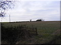 TM3468 : Fields next to the Segmore Lane footpath to Mill Road by Geographer
