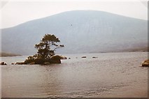 NT1716 : Loch Skeen by Les Hull