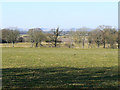 Farmland north of Chirton