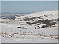 The view from Mutton Hall down West Allen Dale