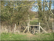 TQ9031 : Stile and footbridge on the High Weald Landscape Trail by David Anstiss