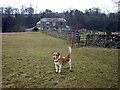 Aysgarth Mill and resident