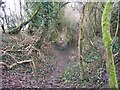 Path to Temple Guiting