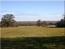 SP2158 : View towards Ingon Grange Farm from Ingon Lane by David P Howard