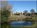 Pond near Barnhorne Manor