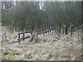 Homes for wildlife, Plants Brook Nature Reserve