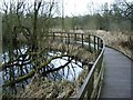 Raised Walkways, Plants Brook Nature Reserve