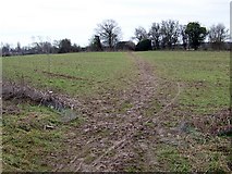 SU8404 : Muddy footpath, Fishbourne by Maigheach-gheal