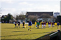 Potters Bar Town Football Club