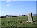 Trig Point again