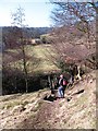 Steps down to the footbridge