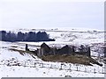 Old Berryhill ruins