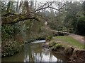 Milford on Sea, Danes Stream