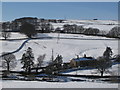 Snowy East Allen Dale near Peasmeadows