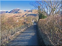 NY1716 : The lane across the Buttermere Valley by K  A