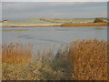 Cresswell Pond Nature Reserve