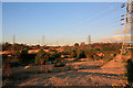 Pond and pylons on Canford Heath