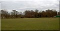 Whitefield Cricket club field