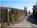 Public footpath, to Parsonage Farm