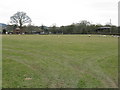 Sheep Pasture Near Wyson