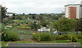 Clodien Avenue allotments, Cardiff