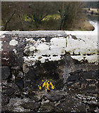 J3269 : Bench Mark, Belfast by Rossographer