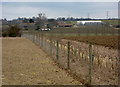 Field boundary and view to College Farm