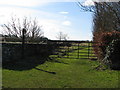 Footpath to Pinkney Park