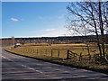 Grazing land at Culloden House