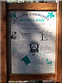 Woodland information board