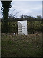 The Stone (Walton) milepost - detail