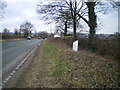 The Stone (Walton) milepost in its setting