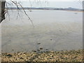 Turlin Moor, mudflats