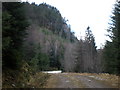 Crags beside Great Glen Cycle Route above Invermoriston