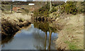 The Ravarnet River, Lisburn