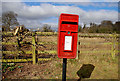 Letter box, Lisburn (1)