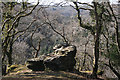 Whitchurch: rock above the Tavy