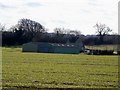 Farm near Rook Pool