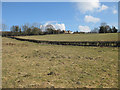 Across the pastures to Studley Cottages