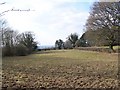 Field, near Redlynch