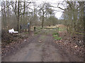 TL6657 : Ditton Park Wood entrance by Hugh Venables