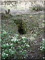 Old well, Glenaldie House