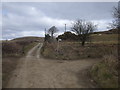 Track junction, Cefn Saeson