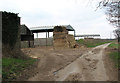 Reedham Road past Hill Farm