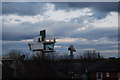 Angels on top of Segedunum viewing tower