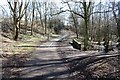 Cycleway and walkway near Elm Tree