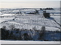 Snowy West Allen Dale at Broadlee