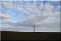 TQ9324 : Sugar beet below the power lines by N Chadwick