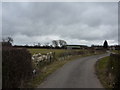 Lane from Windyridge Road, near Wysall