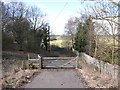 Footpath to Wasperton